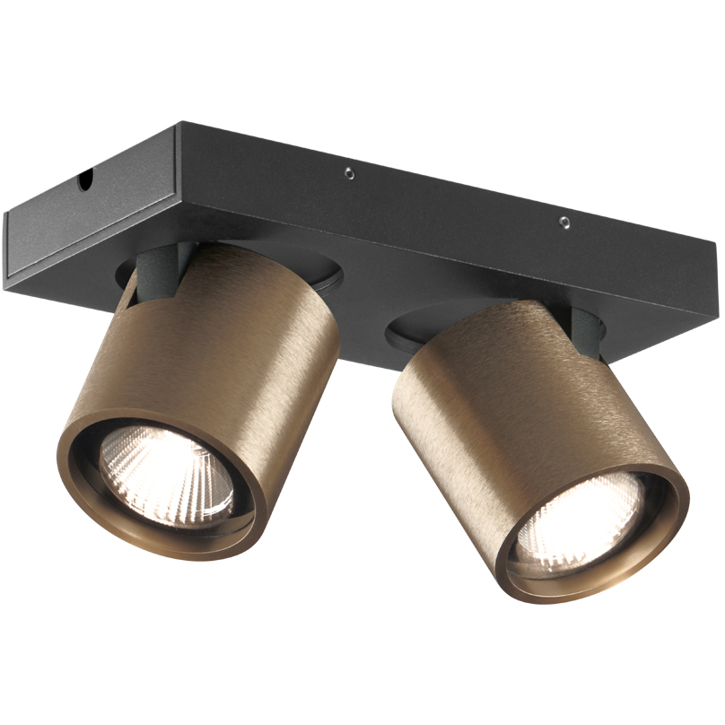 LIGHT-POINT FOCUS 2 ROSE GOLD SWITCH TUNE SPOT